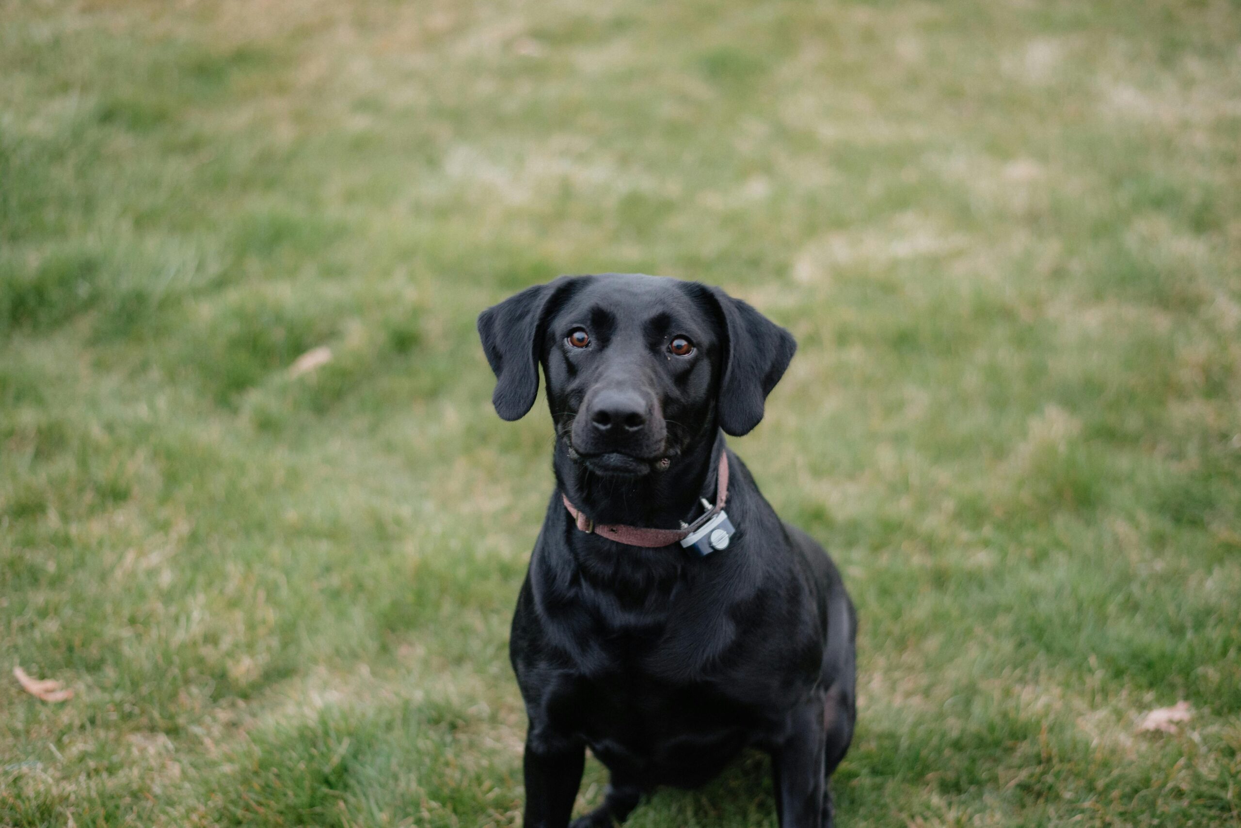 pexels photo 16219480 16219480 scaled