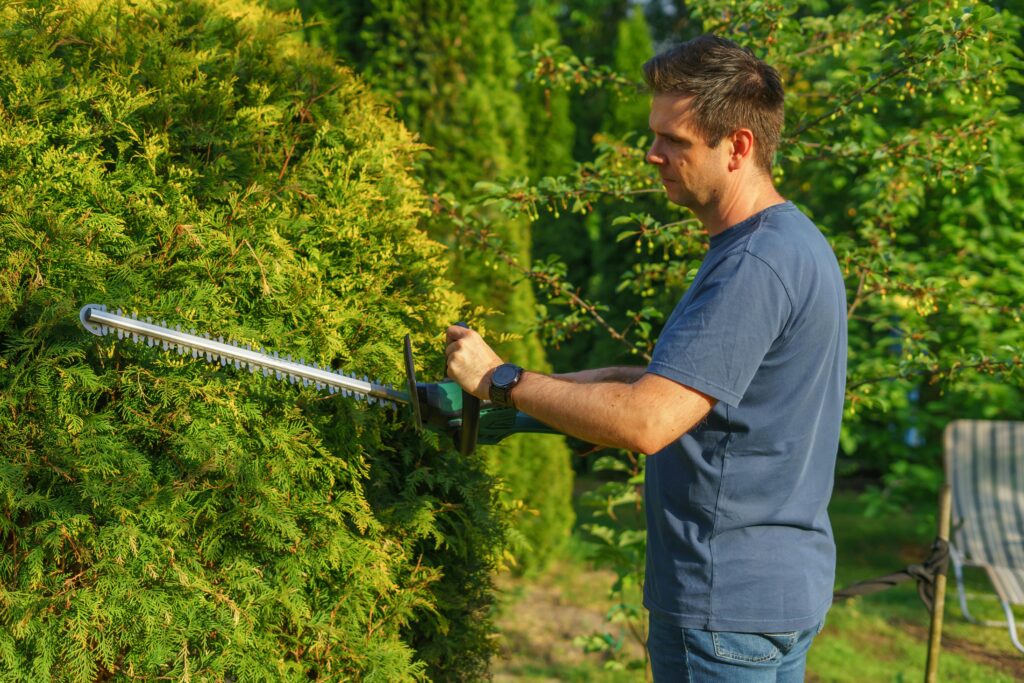 tree service Bucks County professional trimming trees